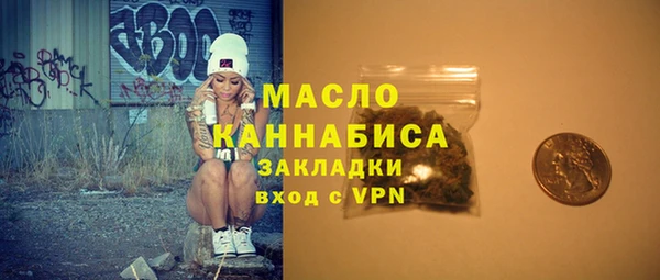 индика Володарск