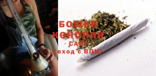 ГАЛЛЮЦИНОГЕННЫЕ ГРИБЫ Волосово