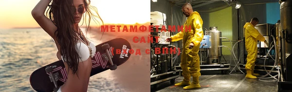 индика Володарск