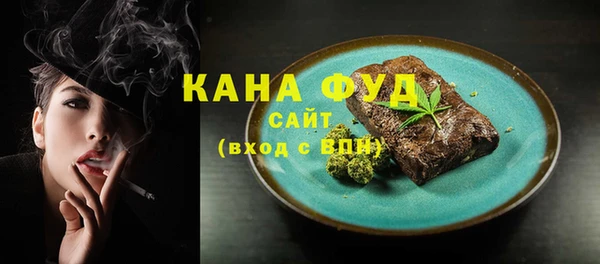 индика Володарск