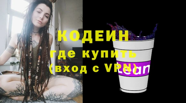 индика Володарск