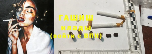 индика Володарск