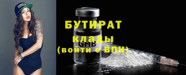 индика Володарск