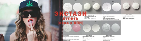 индика Володарск