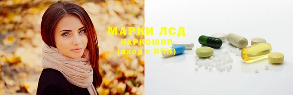 ГАЛЛЮЦИНОГЕННЫЕ ГРИБЫ Волосово