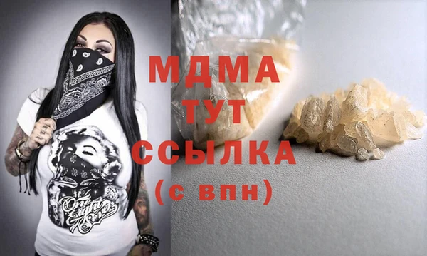 индика Володарск