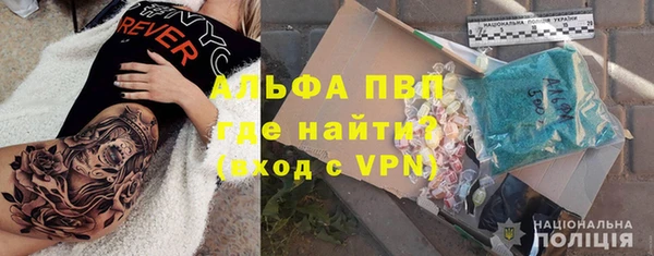 индика Володарск