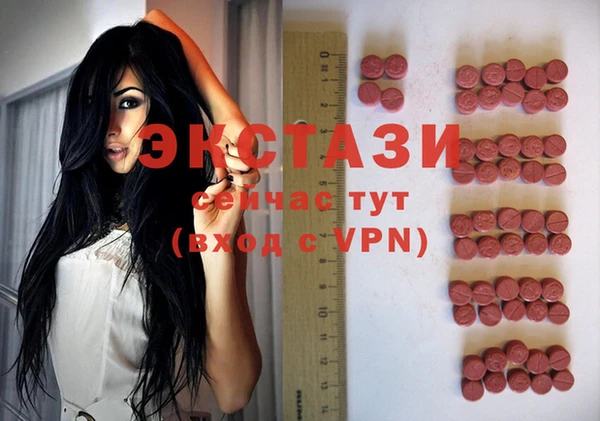 индика Володарск