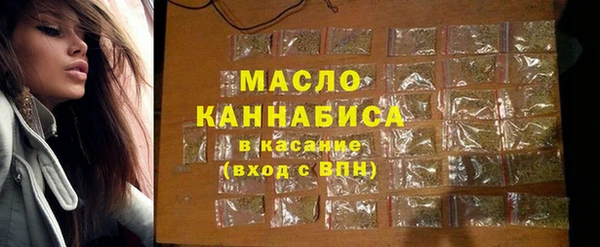 индика Володарск
