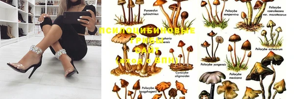 индика Володарск