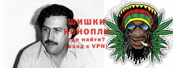 индика Володарск
